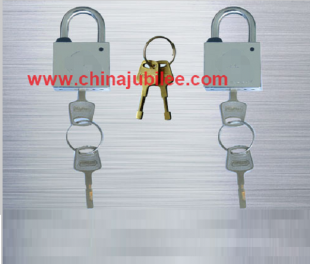 Padlock with Leaf Shade Key & Padlock with Differ and Master Key